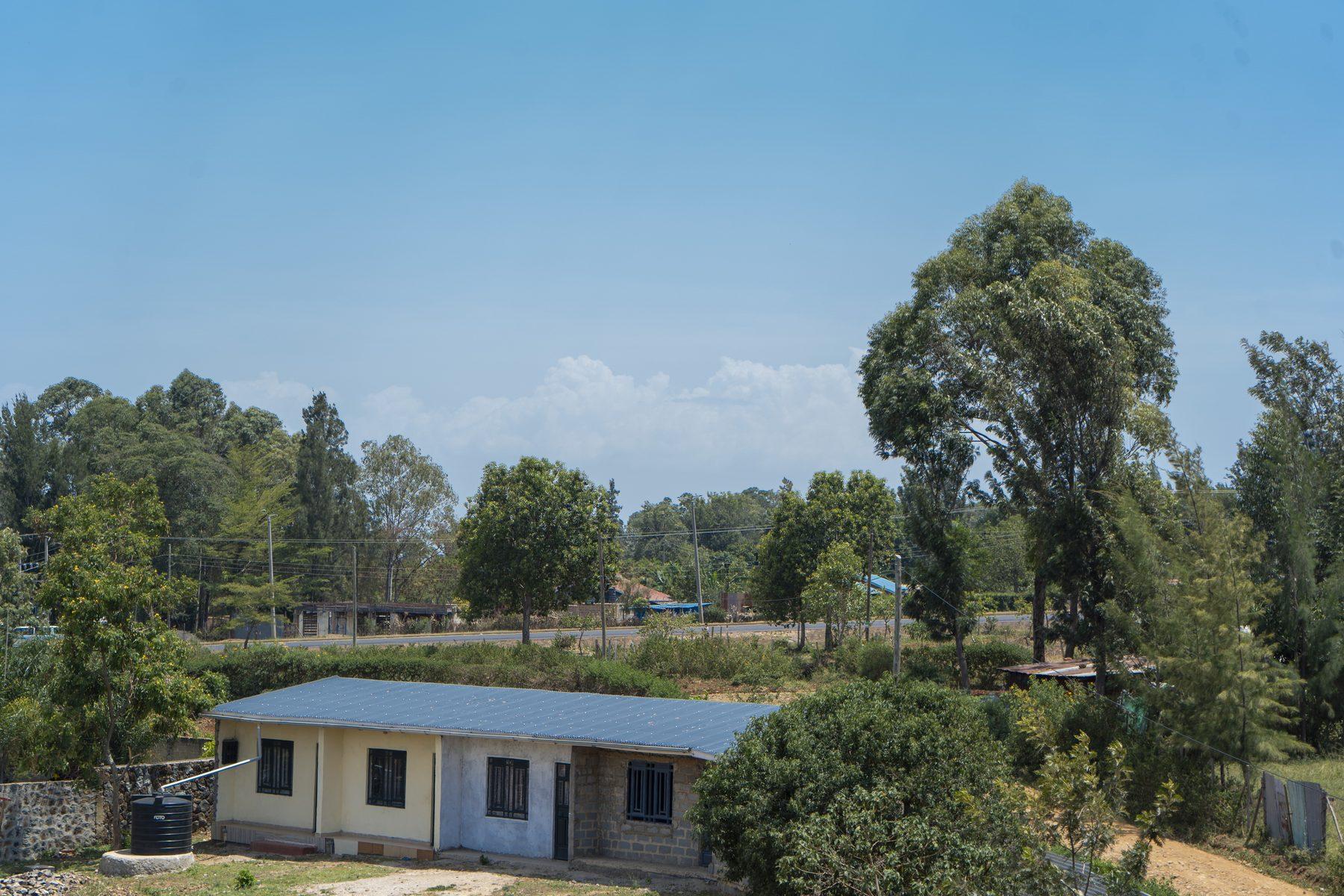The Palm Oasis, Block One — construction photo 65